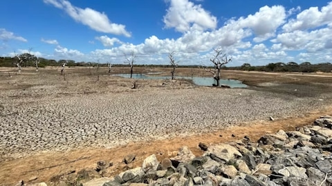 4515736-drought.jpg