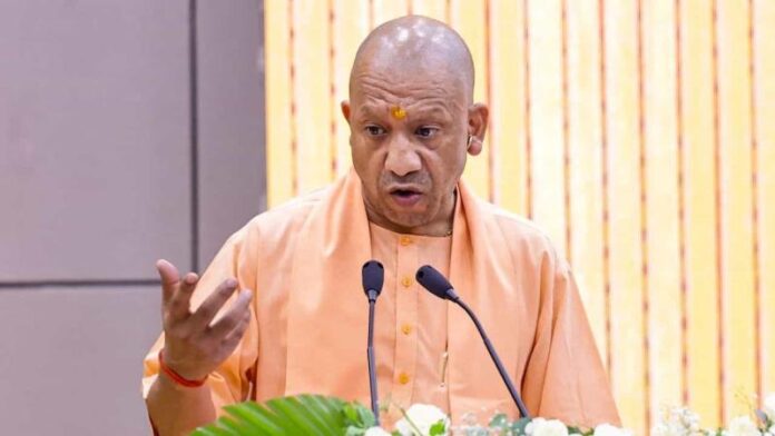cm-yogi-2-1.jpg