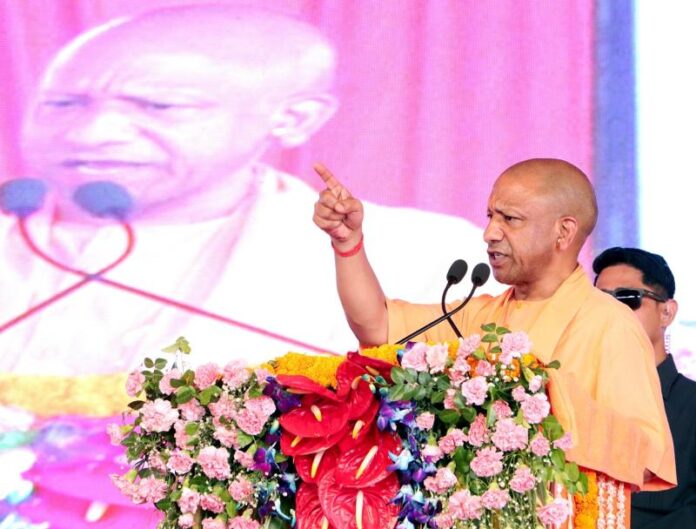 cm_yogi_1782734218594_1782734218.jpg