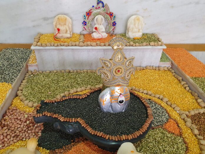 ऋण मुक्तेश्वर गौरीशंकर महादेव का विशेष श्रृंगार