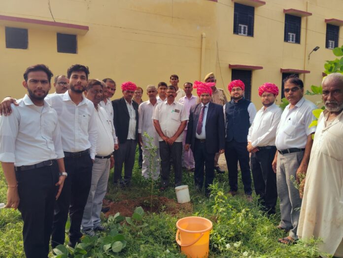 2453 कठूमर स्वतंत्रता दिवस वृक्षारोपण
