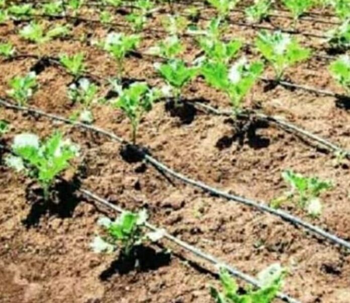 राजस्थान सूक्ष्म सिंचाई योजना