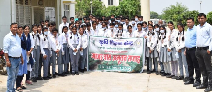 2504 पार्थेनियम घास के दुष्प्रभाव को लेकर जागरूकता कार्यक्रम