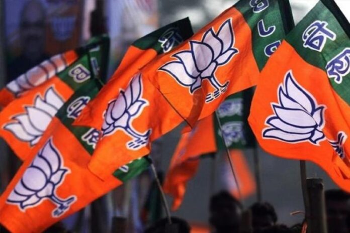 BJP1-2.jpg