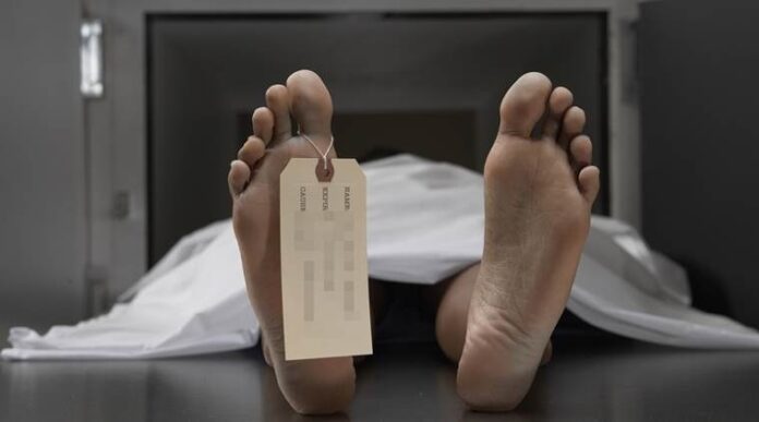 dead-body-759.jpg