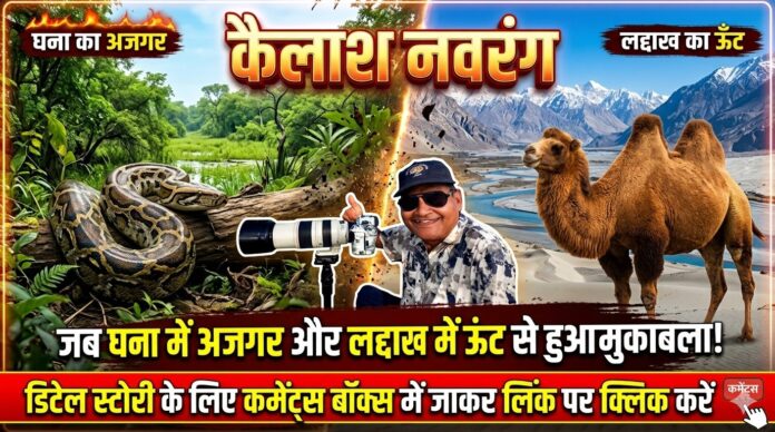कैसे हुआ मुकाबला