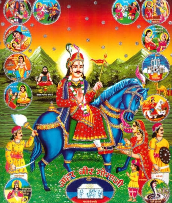 सोडावास गोगाजी महाराज मेला