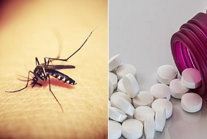 malaria-drug_1597644027.jpg