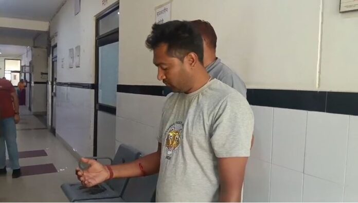 वनकर्मी घायल