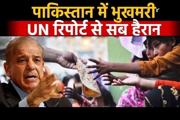 33 खास रिपोर्ट
