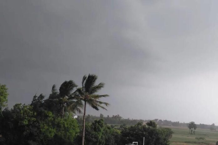 Weather-webp-1.jpg