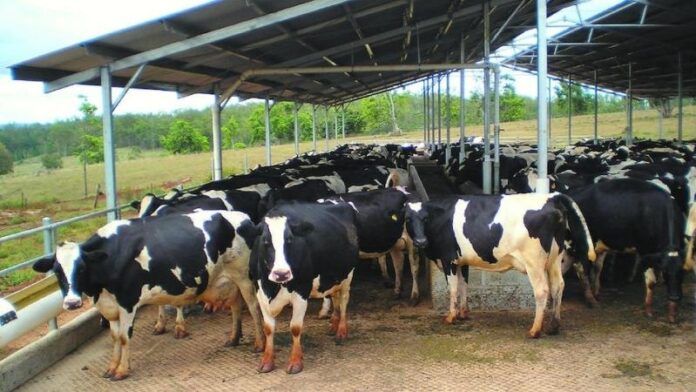 dairy_farming-sixteen_nine.jpg