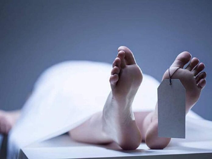 dead_1789058637114_7eb1e9bd-687c.jpg