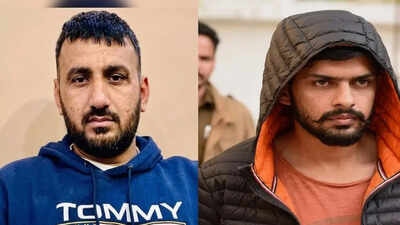 hairi-boksar.jpg