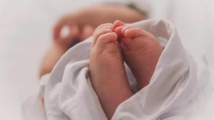 new_born-sixteen_nine.jpg