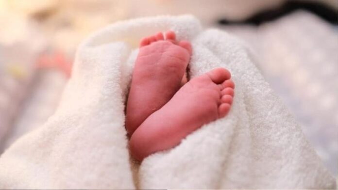 new_born_0-sixteen_nine.jpg