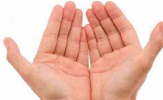palm.jpg