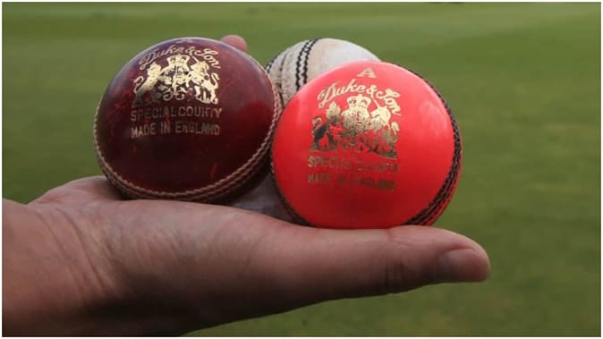 pink-ball-test-cricket-shaun-pol.jpg